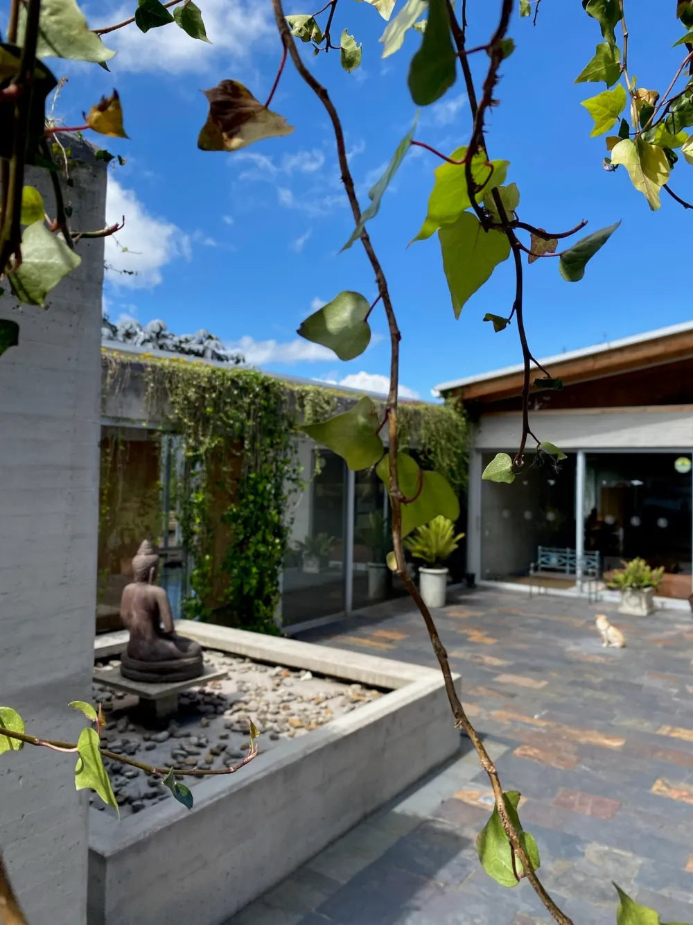 Patio del Centro de Retiros Fundación Kamadhenu, entre vegetación y arquitectura abierta.