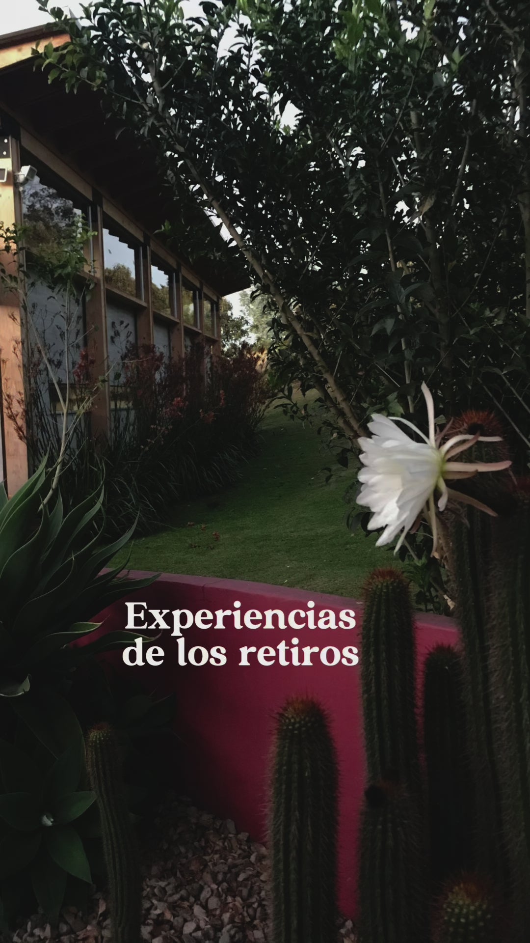 Cargar video: 