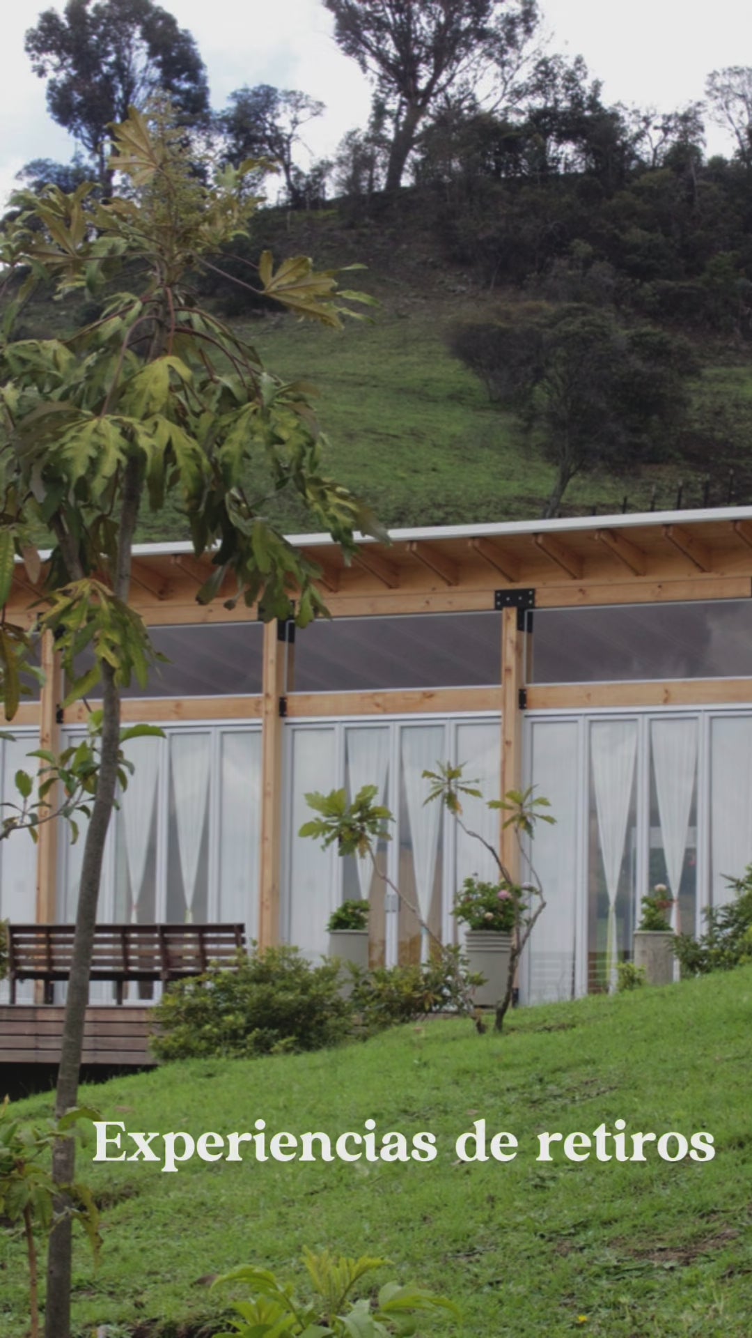 Cargar video: 