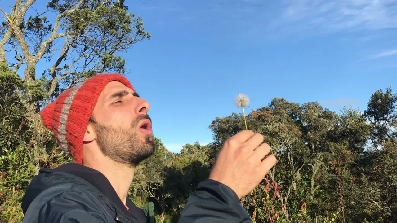 Alejandro al aire libre, soplando suavemente un diente de león.